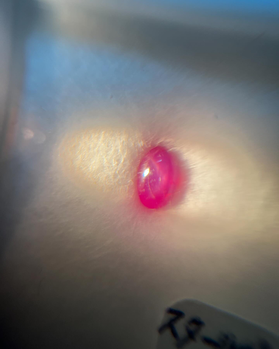 画像2338