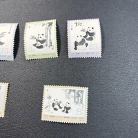 画像2621