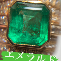 画像3313